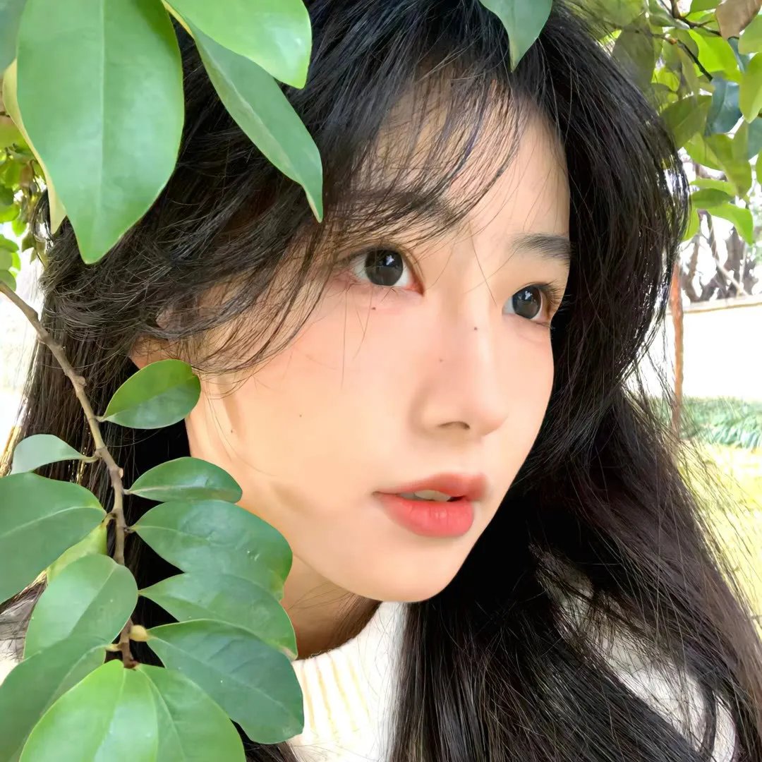 雪之女王